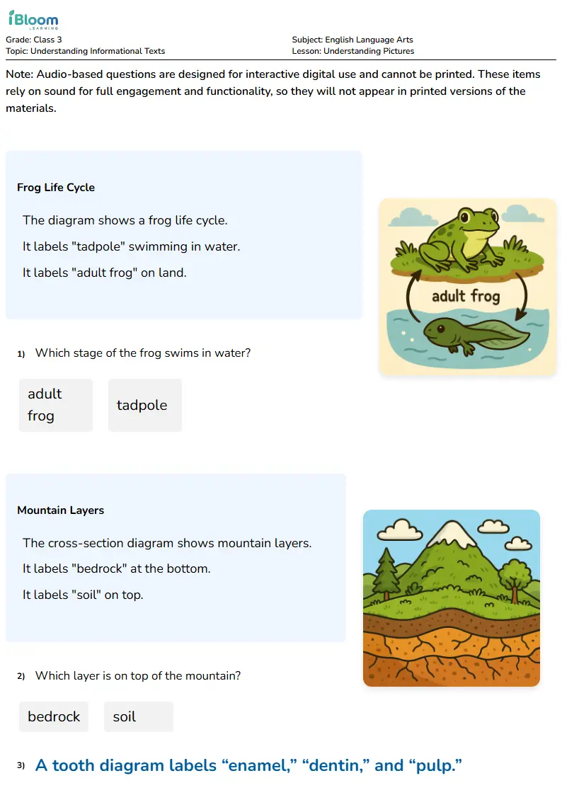 Free Understanding Pictures Worksheets for Class 3 | iBloom