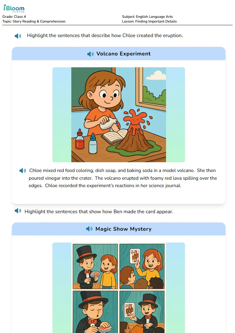 Free Finding Important Details Worksheets for Class 4