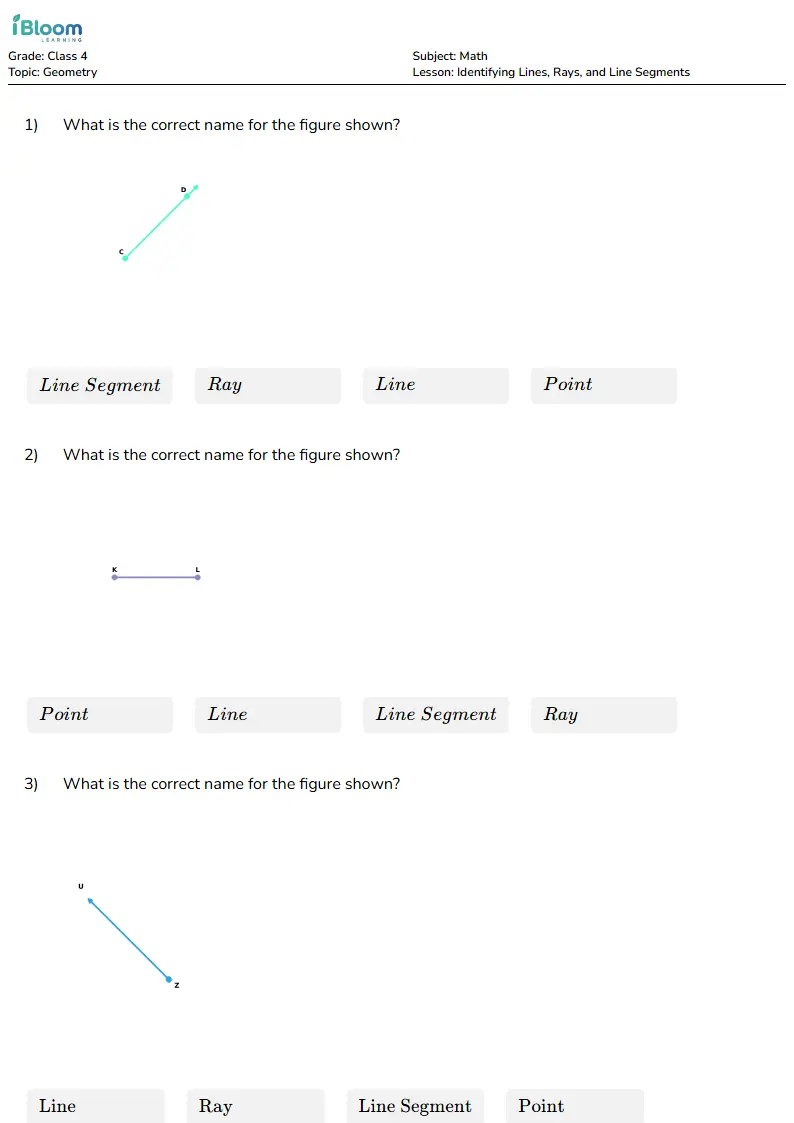 Free Identifying Lines, Rays, and Line Segments Worksheets for Class 4 | iBloom