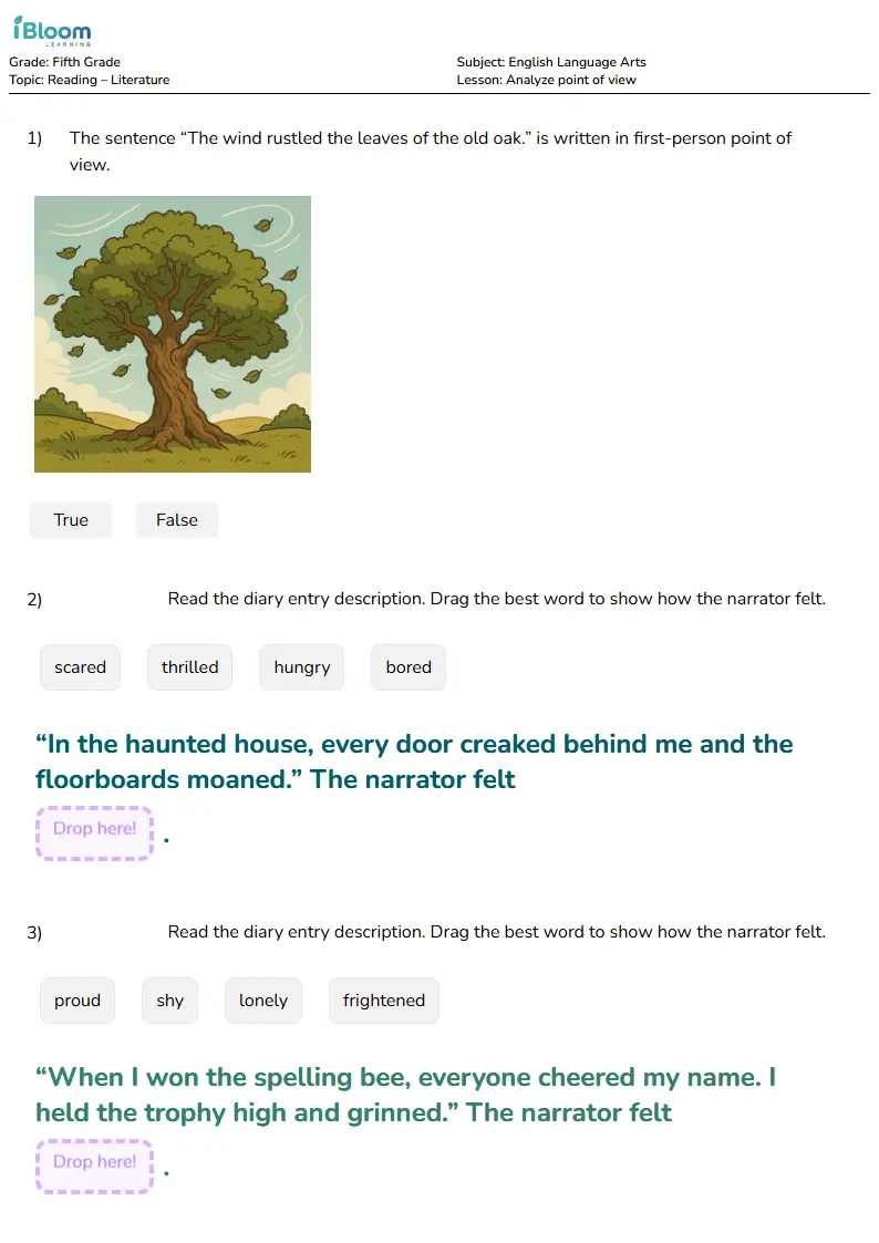 Free Analyze point of view Worksheets for Grade 5