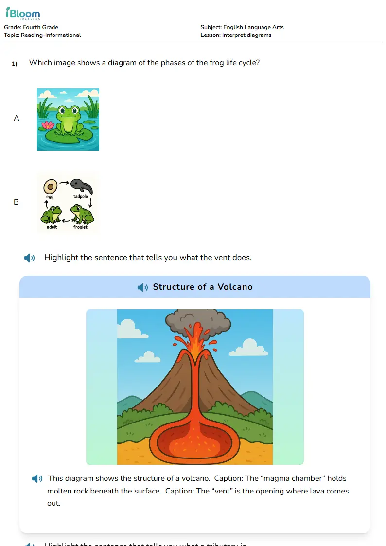 Free Interpret diagrams Worksheets for Fourth Grade | iBloom
