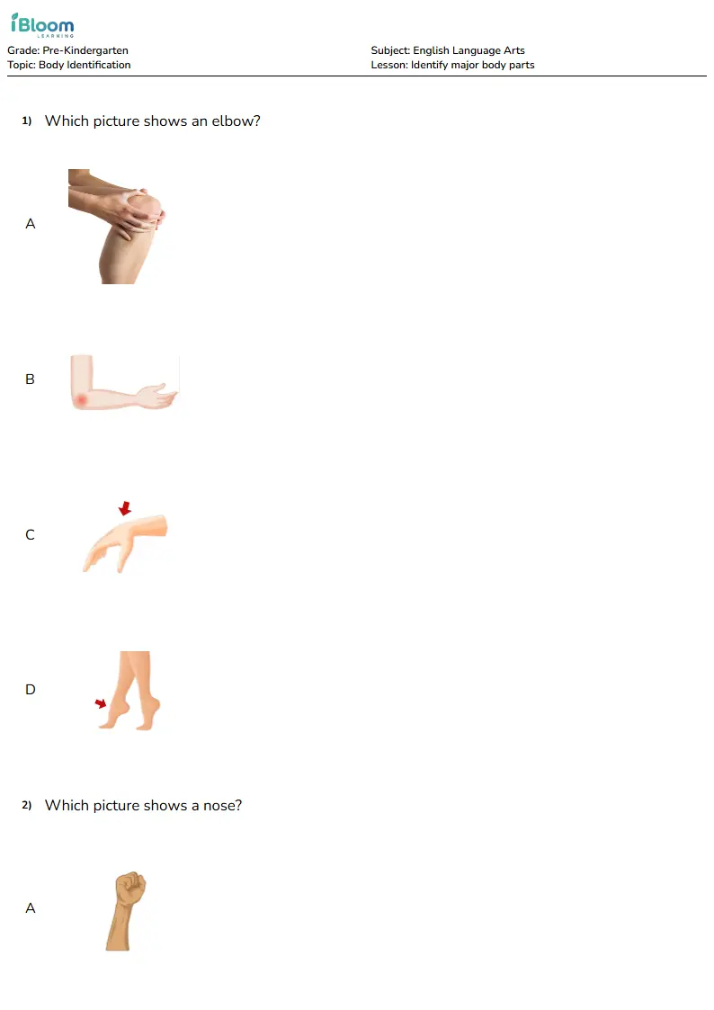 Free Identify major body parts Worksheets for KG1